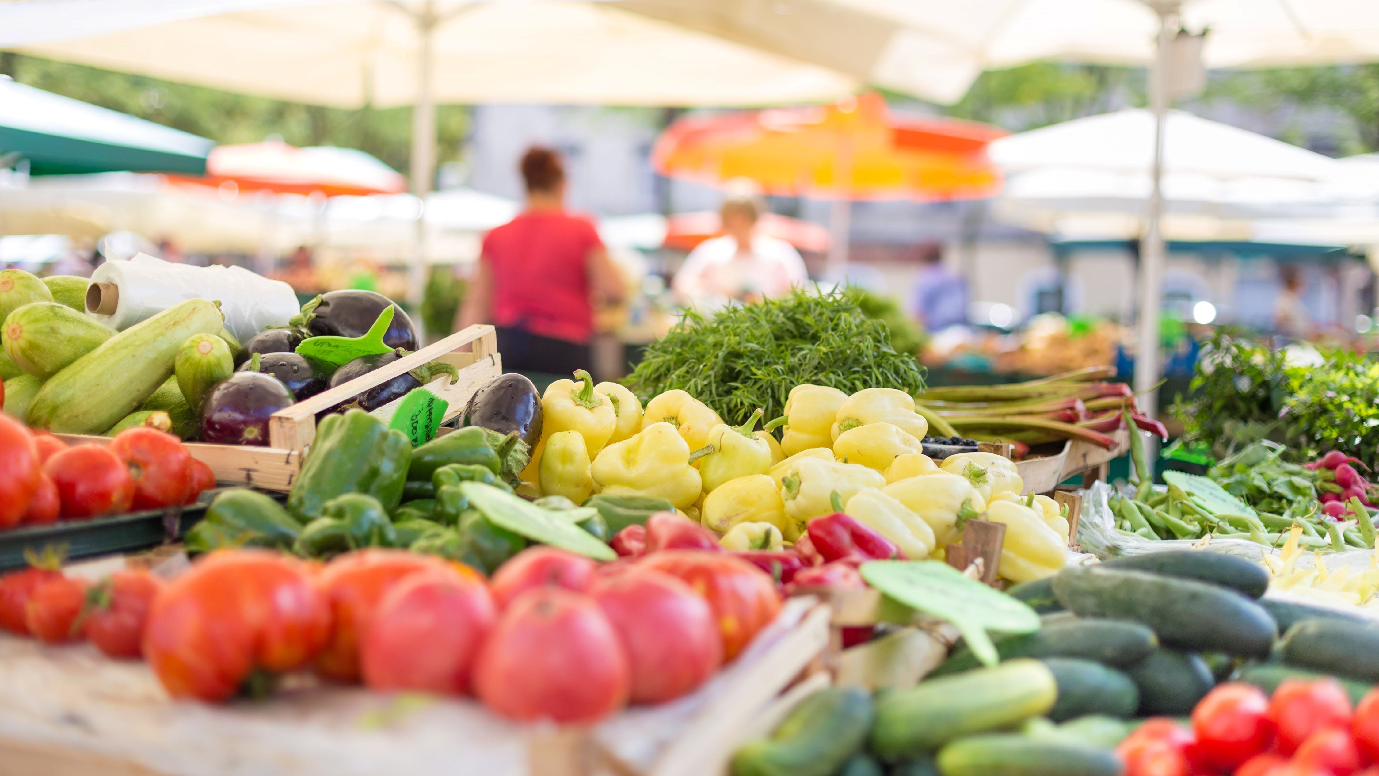 Steamboat Springs Farmers Market\